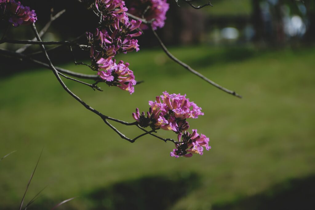 5月20日 得拯救的日子