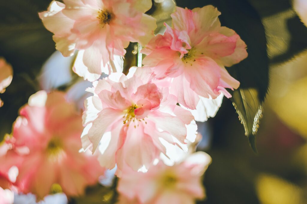 5月19日耶和華扭轉歷史